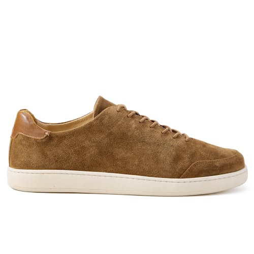 laydown image of Terra Low Sneaker