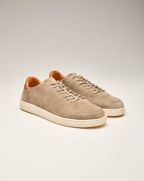 no crop image of Suede Terra Low Sneaker