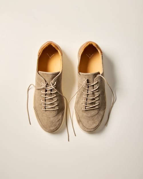 no crop image of Suede Terra Low Sneaker