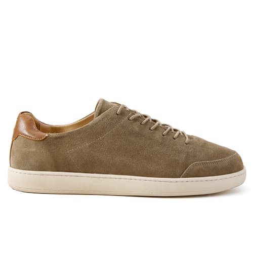 laydown image of Terra Low Sneaker