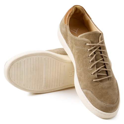 laydown image of Terra Low Sneaker