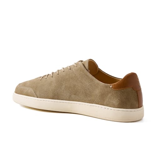 laydown image of Terra Low Sneaker