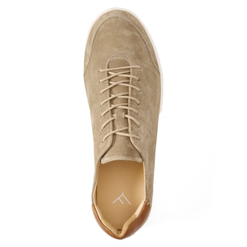 laydown image of Terra Low Sneaker