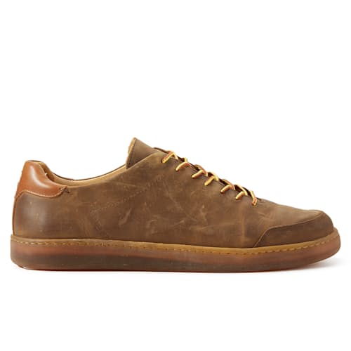 laydown image of Terra Low Sneaker