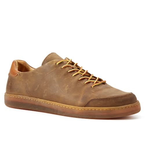laydown image of Terra Low Sneaker