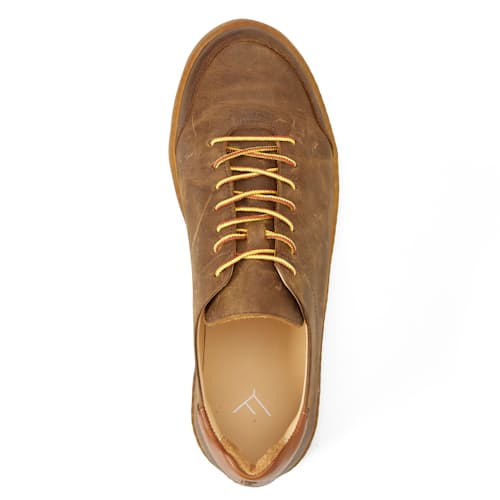 laydown image of Terra Low Sneaker
