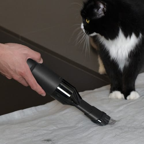 lifestyle image of Handheld Air Duster & Vacuum