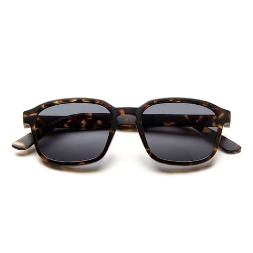 laydown image of Sunseekers Sunglasses