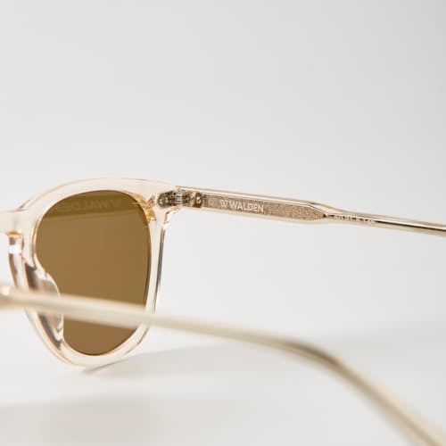 laydown detail image of Woods Sunglasses - Polarized