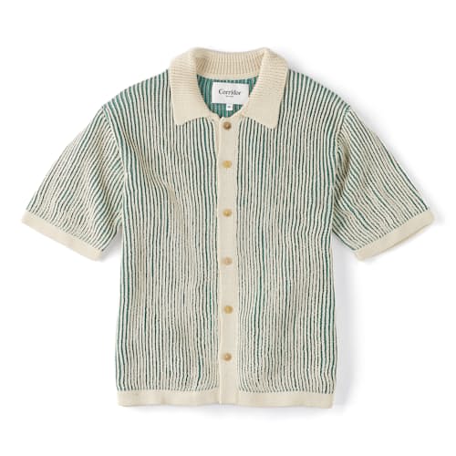 laydown image of Plated Striped Button Down Polo