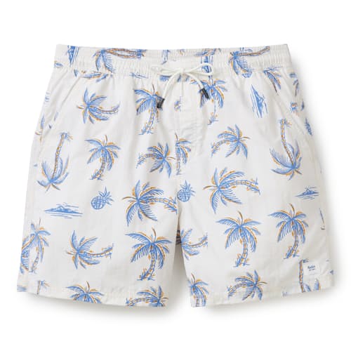 laydown image of Volley Swim Trunk