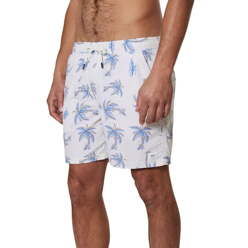 on model image of Volley Swim Trunk