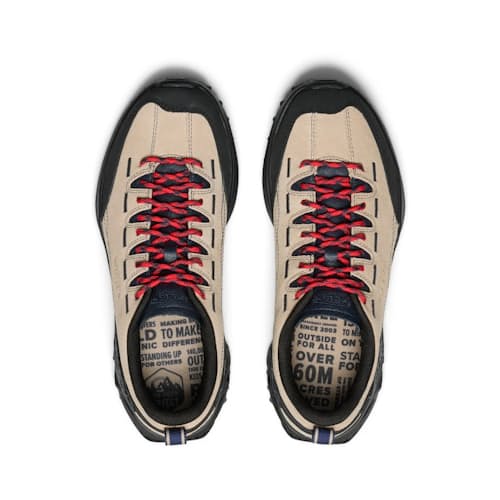laydown image of Jasper Zionic Hiking Sneaker
