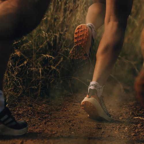 lifestyle image of TERREX Agravic Speed Trail Sneaker