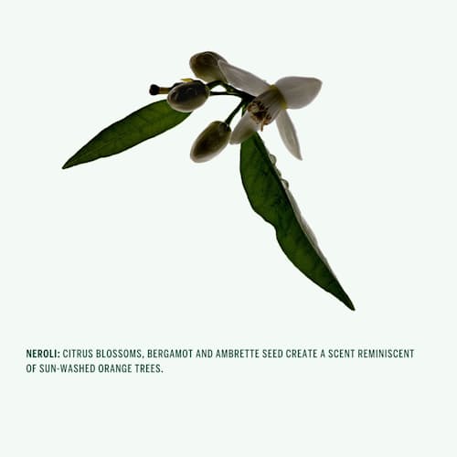 no crop image of Neroli Natural Deodorant