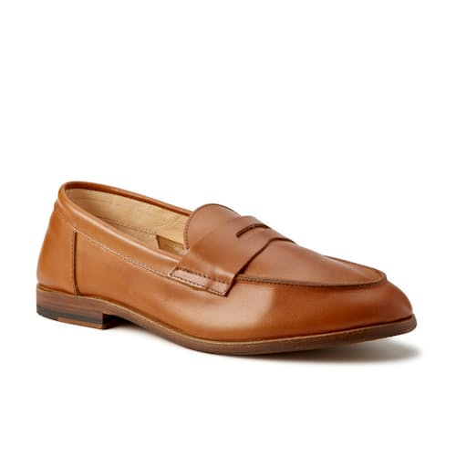 laydown image of Dartflex Loafer