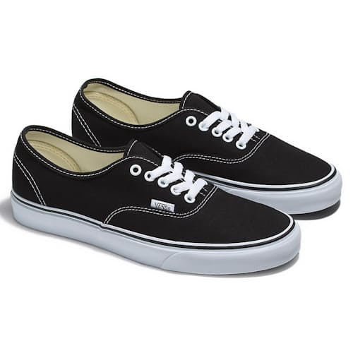 laydown image of Authentic Canvas Sneaker