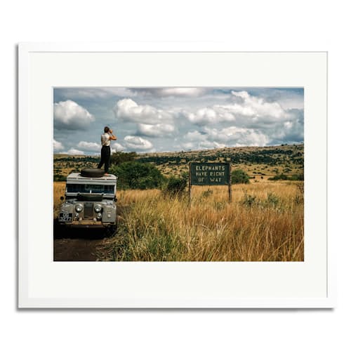 laydown image of Elephants Right of Way Framed Print