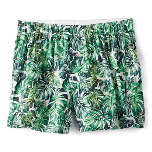 laydown image of Organic Cotton Monstera Boxer Shorts