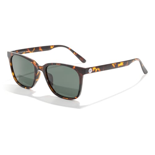 laydown image of Ventana Sunglasses
