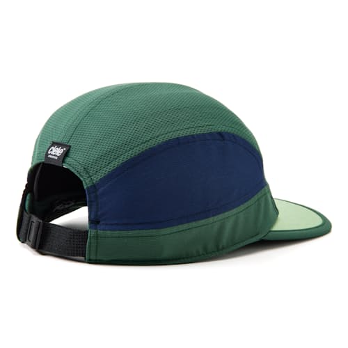 laydown image of ALZCap SC - C Plus