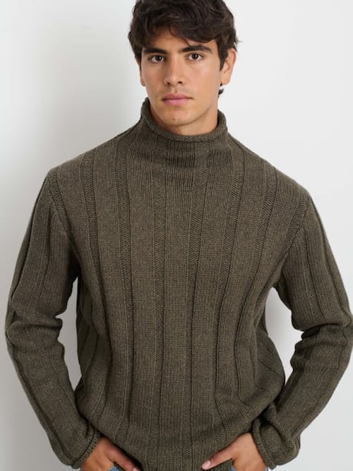 on model image of Ribbed Roll Neck Sweater