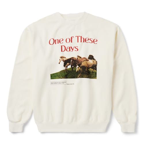laydown image of Wild Horses Crew Sweatshirt