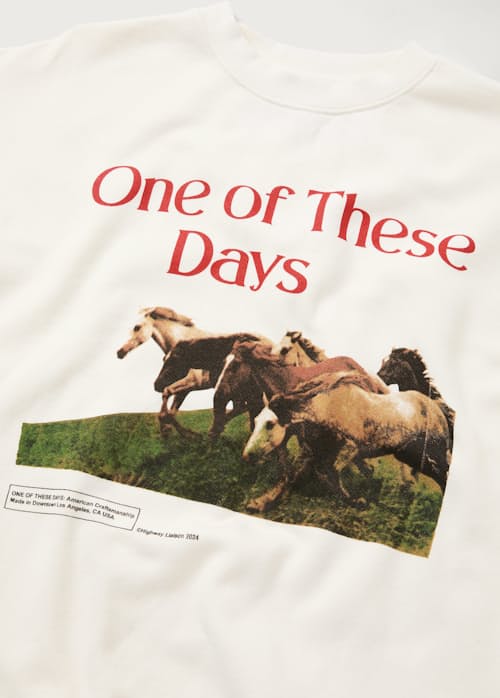 laydown detail image of Wild Horses Crew Sweatshirt