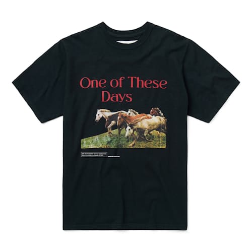 laydown image of Wild Horses T-Shirt