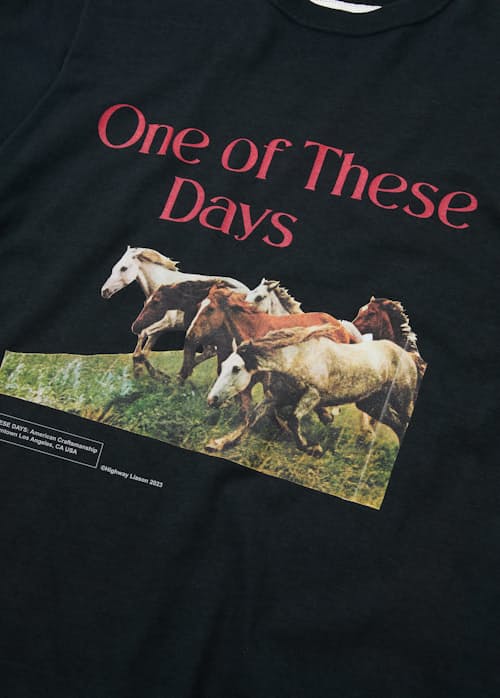 laydown detail image of Wild Horses T-Shirt