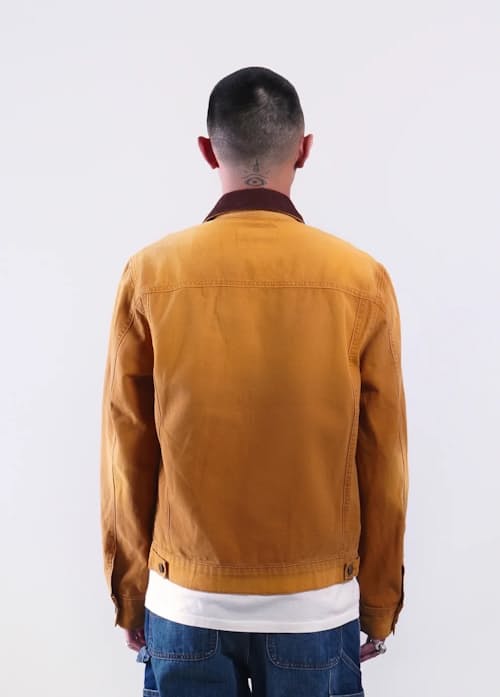 on model image of Prairie Trucker Jacket