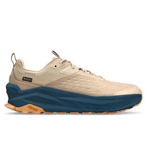 laydown image of Olympus Hike Low 2 GTX Trail Sneaker