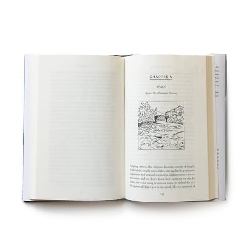 laydown image of The Believer by David Coggins