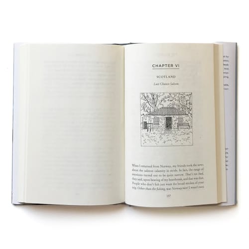 laydown image of The Believer by David Coggins