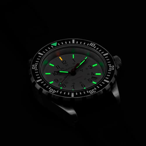 lifestyle image of 41mm Arctic Edition Large Diver Quartz (TSAR) Watch