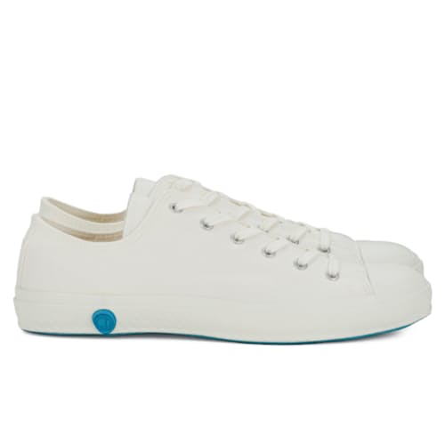 laydown image of SLP01 JP Low Canvas Sneaker