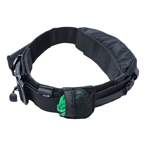 lifestyle image of The Wolf Pack Dog Collar