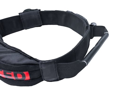 lifestyle image of The Wolf Pack Dog Collar