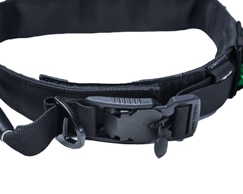 lifestyle image of The Wolf Pack Dog Collar