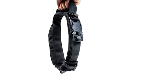 lifestyle image of The Wolf Pack Dog Collar
