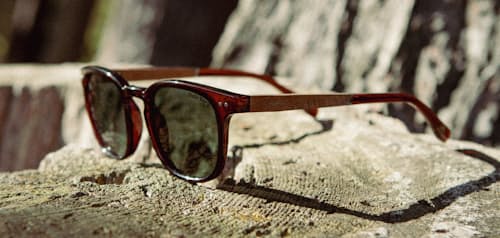 lifestyle image of Topo Smokey Bear Sunglasses