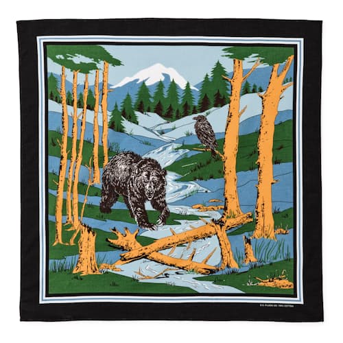 laydown image of Black Bear Bandana