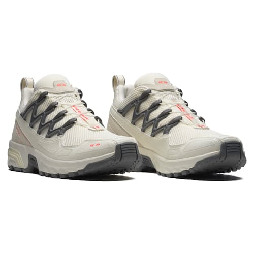 laydown image of ACS + Sneaker
