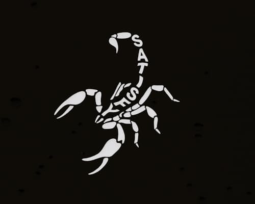laydown detail image of MothTech Muscle T-Shirt