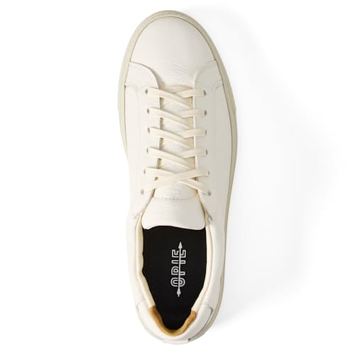 laydown image of James Court Sneaker