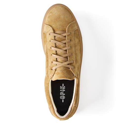 laydown image of James Court Sneaker