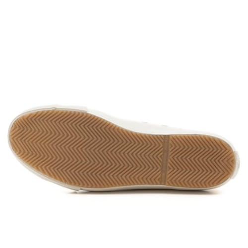 laydown image of Gym Classic Canvas Sneaker