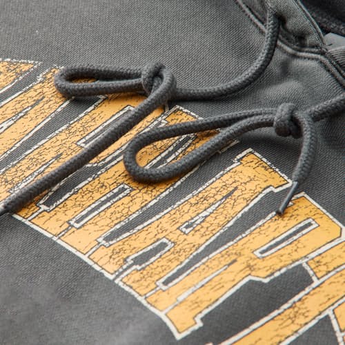 laydown detail image of Collegiate Library Hoodie