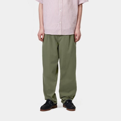 on model image of Albert Pant