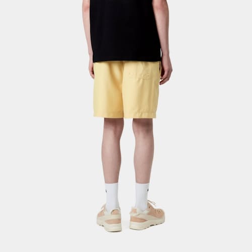 on model image of Chase Swim Trunks